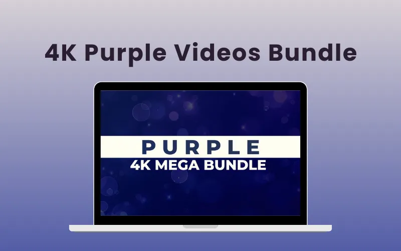 4K Purple Videos Bundle | Extended Commercial License