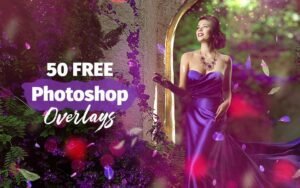 50 Free Photoshop Overlays | Extended License
