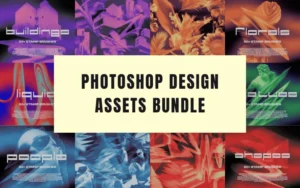 500+ Photoshop Design Assets Bundle | Extended License