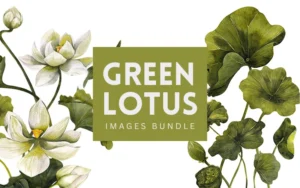 60+ Watercolor Green Lotus Images Bundle | Extended License