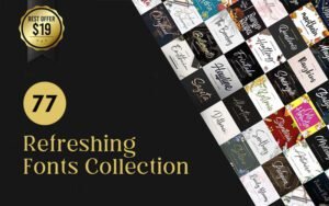 77 Refreshing Fonts Collection | Extended License