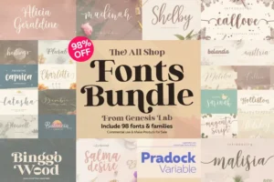 98 Modern Fonts Bundle | Extended License