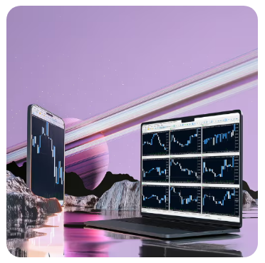 Track real-time results on mobile or desktop.