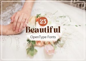 Beautiful Opentype Fonts Bundle | Extended License