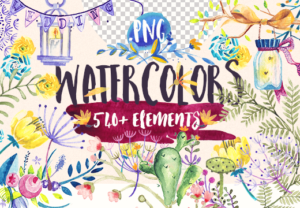 Beautiful Watercolor Collection | Standard & Extended License