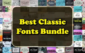 Best Classic Fonts Bundle | Extended License