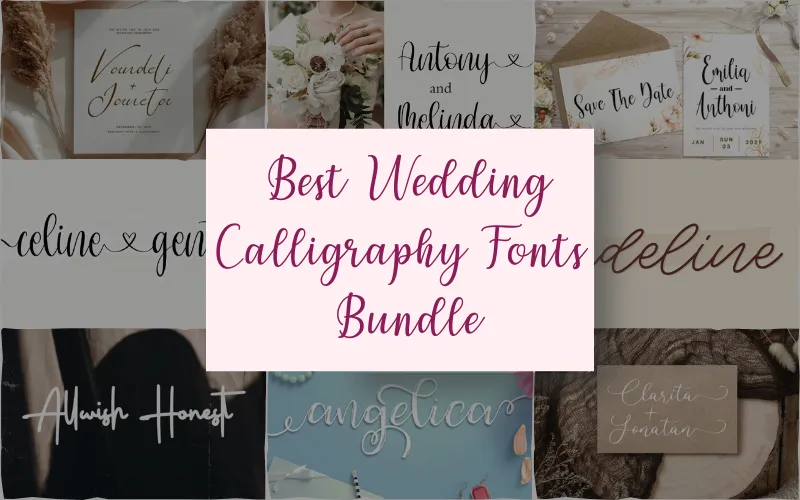 Best Wedding Calligraphy Fonts Bundle | Extended License