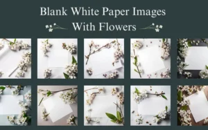Blank White Paper Images With Flowers | Extended Commercial License