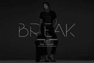 Break - A Modern Free Font