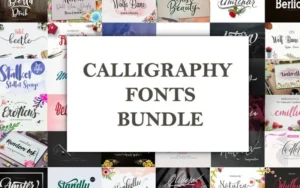 Calligraphy Fonts Bundle | Extended Commercial License
