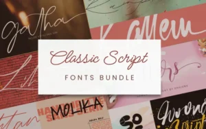 Classic Script Fonts Bundle | Extended License