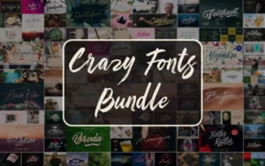 Crazy Fonts Bundle | Extended License