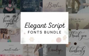 Elegant Script Fonts Bundle | Extended License