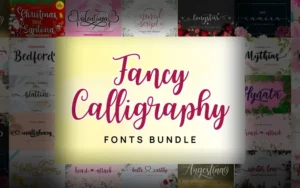 Fancy Calligraphy Fonts Bundle | Extended License