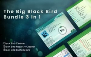 Fasten Your PC With Big Black Bird 3-in-1 Bundle | Lifetime Access