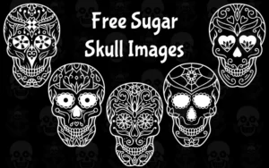 Free Sugar Skull Images Bundle