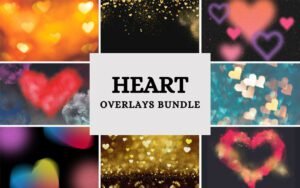 Heart Overlays Bundle - JPEG & PNG Overlays | Extended Commercial License