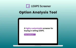 LEAPS Screener - Option Analysis Tool | Lifetime Access