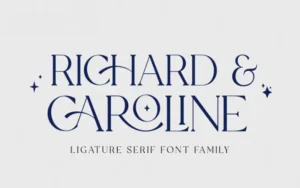 Ligature Serif Font Family | Extended License