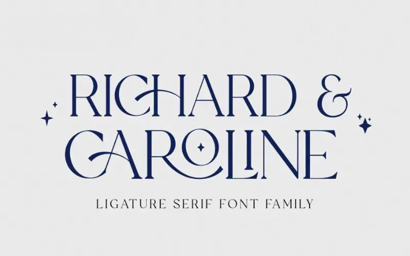 Ligature Serif Font Family | Extended License