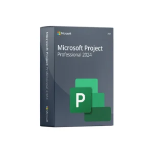 Microsoft Project Professional 2024