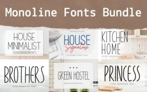 Monoline Fonts Bundle | Extended Commercial License