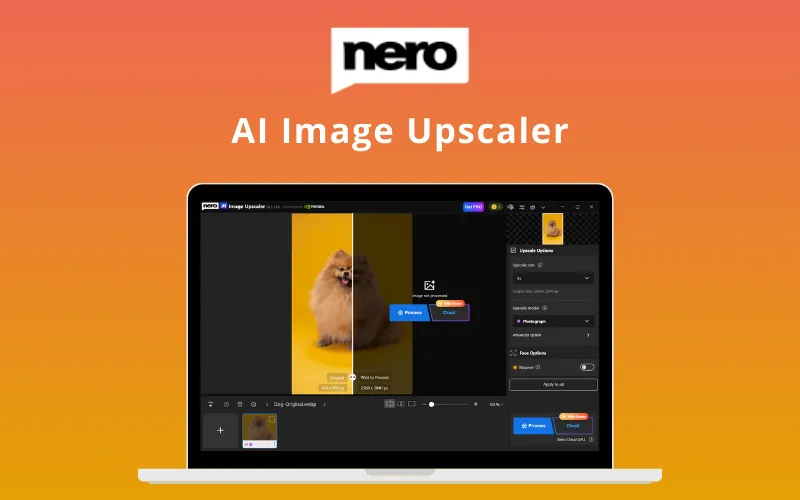 Nero - AI Image Upscaler (Windows) | Lifetime Access