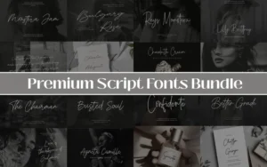 Premium Script Fonts Bundle | Extended License