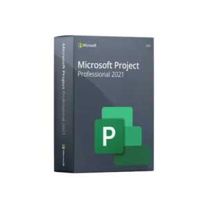 Project Professional 2021