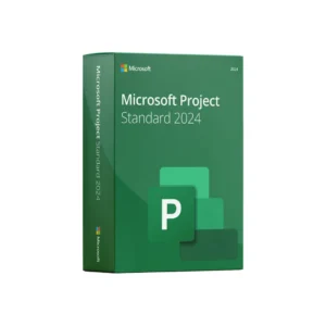 Project Standard 2024