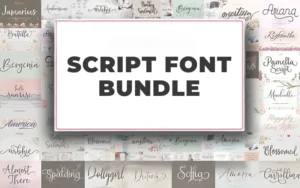 Script Font Bundle | Extended License