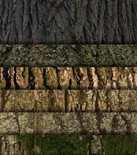 Sunday Freebie: 26 High Resolution Wood Textures and Patterns