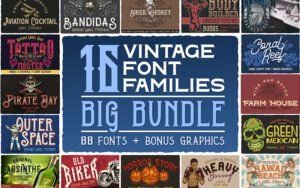 Vintage Fonts Bundle: 88 Fonts + Over 100 Bonus Graphic Elements | Extended License