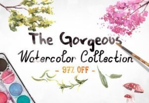 Watercolor Clipart Collection with Bonus