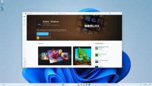 Windows 11 Education