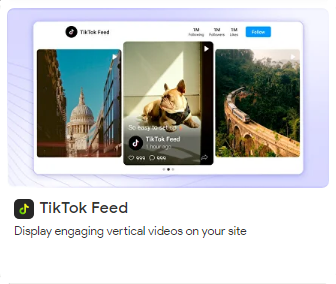TikTok Feed