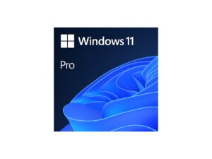 Microsoft Office 2024 Home & Business + Windows 11 Pro Bundle