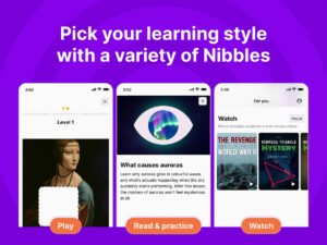 Nibble All-Around Knowledge App (Lifetime Subscription)