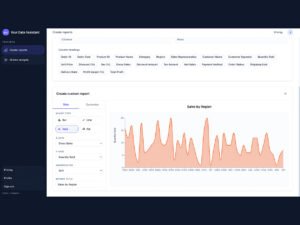 Your Data Assistant Lifetime Subscription