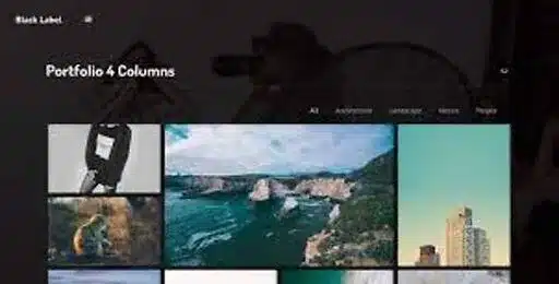 Black Label – Fullscreen Video & Image Background Theme [95% OFF]
