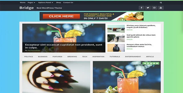 Bridge WordPress Theme – MyThemeShop [95% OFF]