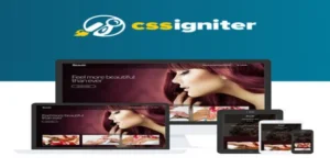 CSS Igniter Beaute WordPress Theme [95% OFF]