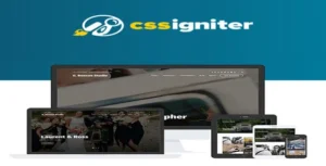 CSS Igniter Benson WordPress Theme [95% OFF]