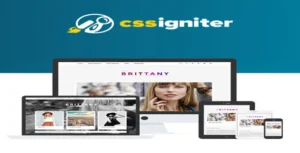 CSS Igniter Brittany WordPress Theme [95% OFF]