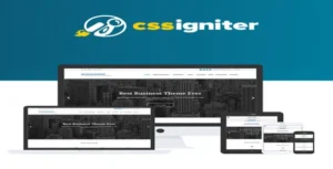 CSS Igniter Business3ree WordPress Theme [95% OFF]