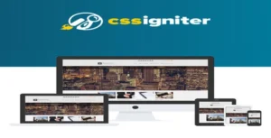 CSS Igniter BusinessTwo WordPress Theme [95% OFF]