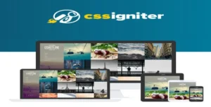 CSS Igniter Coastline WordPress Theme [95% OFF]