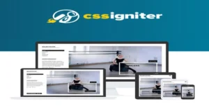 CSS Igniter Eclecticon WordPress Theme [95% OFF]