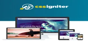 CSS Igniter Flevr Woocommerce Theme [95% OFF]