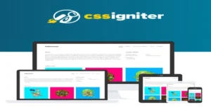 CSS Igniter Hellomouse WordPress Theme [95% OFF]